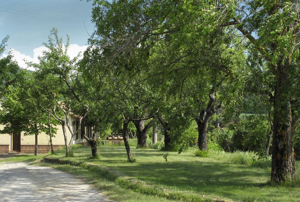 Agriturismo Il Casalone Montepulciano Stazione Eksteriør bilde